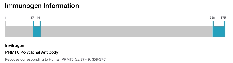 PRMT6 Polyclonal Antibody