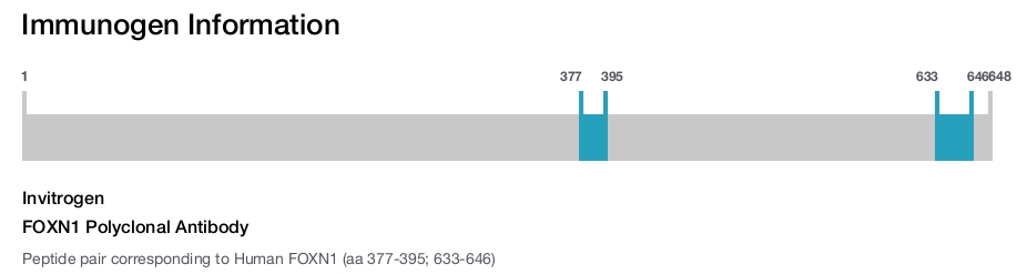 FOXN1 Polyclonal Antibody