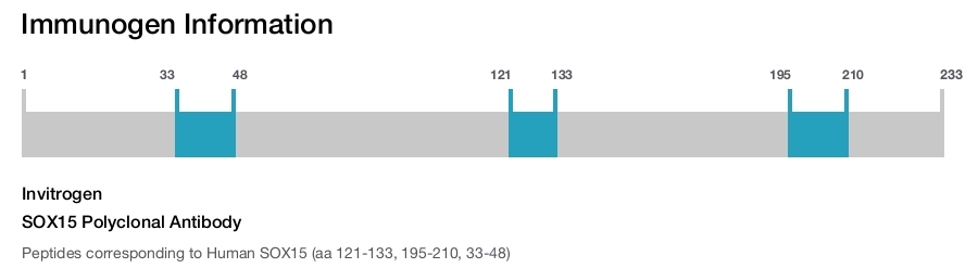 SOX15 Polyclonal Antibody