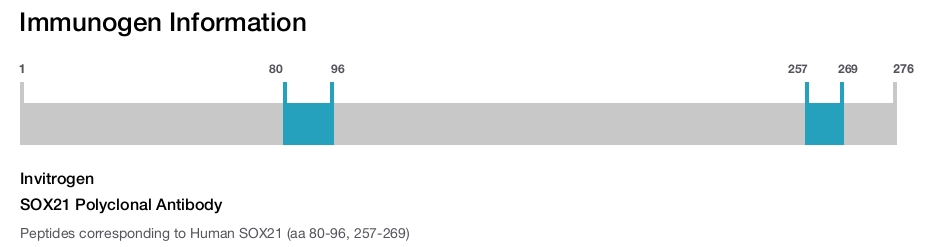 SOX21 Polyclonal Antibody