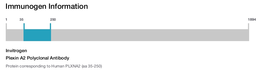 Plexin A2 Polyclonal Antibody