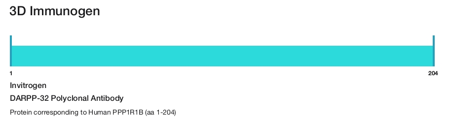 DARPP-32 Polyclonal Antibody