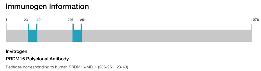 PRDM16 Polyclonal Antibody