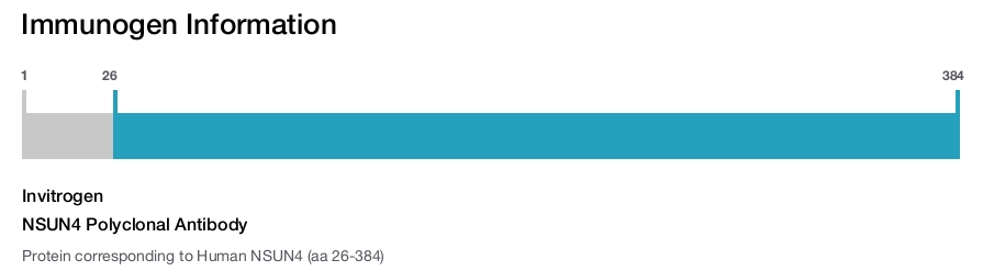 NSUN4 Polyclonal Antibody