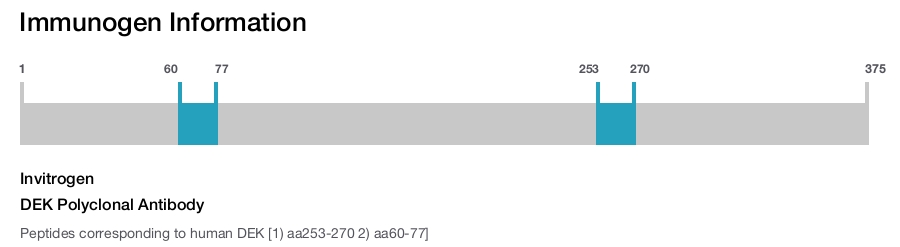 DEK Polyclonal Antibody