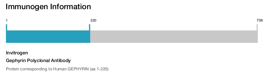 Gephyrin Polyclonal Antibody