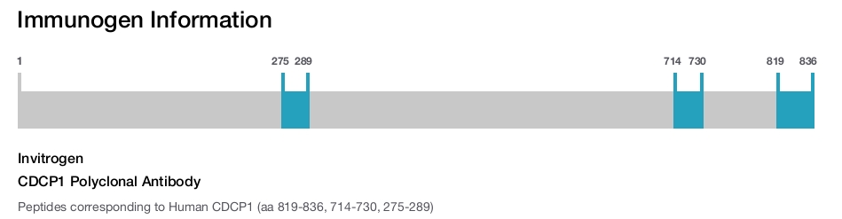 CDCP1 Polyclonal Antibody