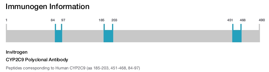 CYP2C9 Polyclonal Antibody