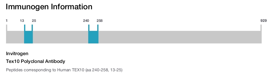 Tex10 Polyclonal Antibody