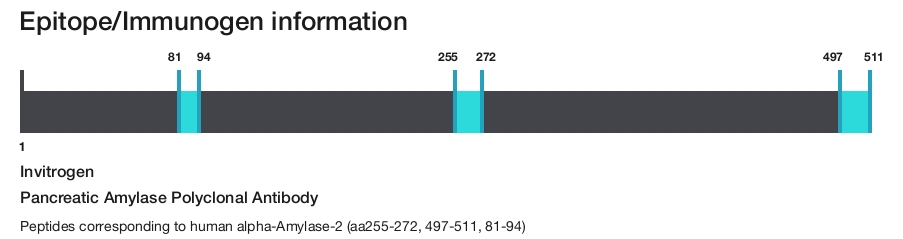 Pancreatic Amylase Polyclonal Antibody