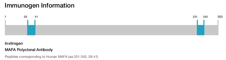 MAFA Polyclonal Antibody
