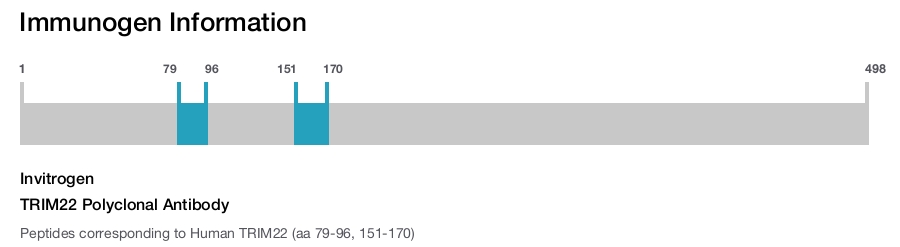 TRIM22 Polyclonal Antibody
