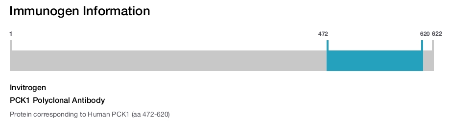 PCK1 Polyclonal Antibody