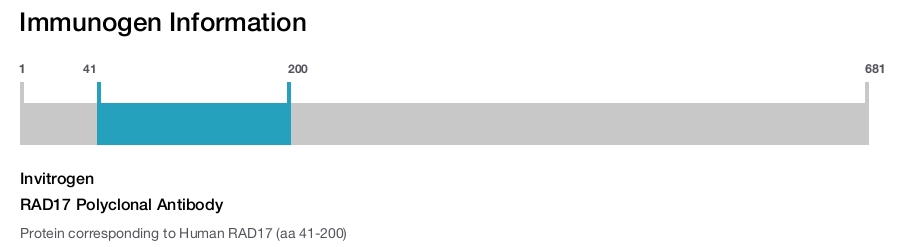 RAD17 Polyclonal Antibody