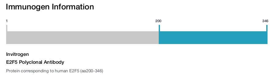 E2F5 Polyclonal Antibody