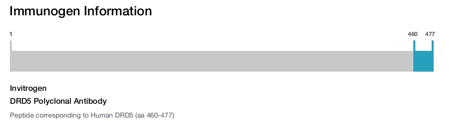 DRD5 Polyclonal Antibody