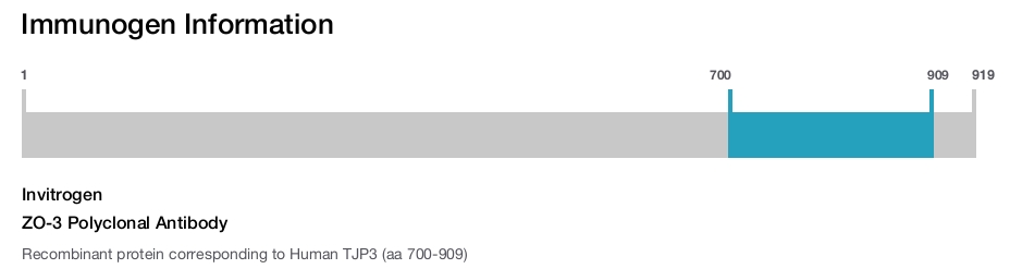 ZO-3 Polyclonal Antibody
