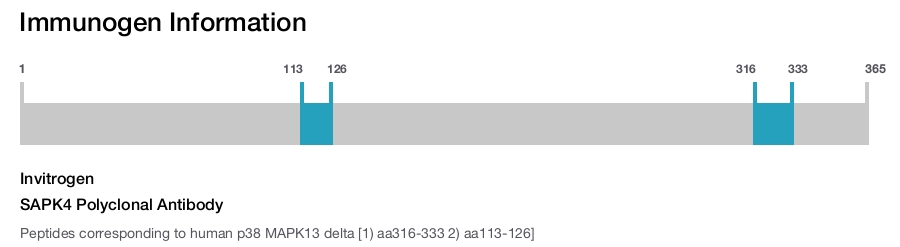 SAPK4 Polyclonal Antibody