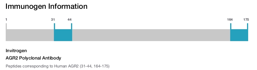 AGR2 Polyclonal Antibody