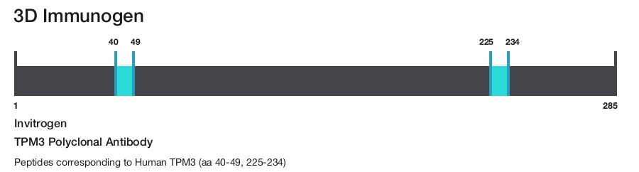 TPM3 Polyclonal Antibody