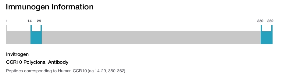 CCR10 Polyclonal Antibody