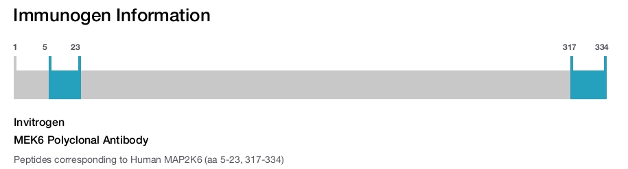 MEK6 Polyclonal Antibody