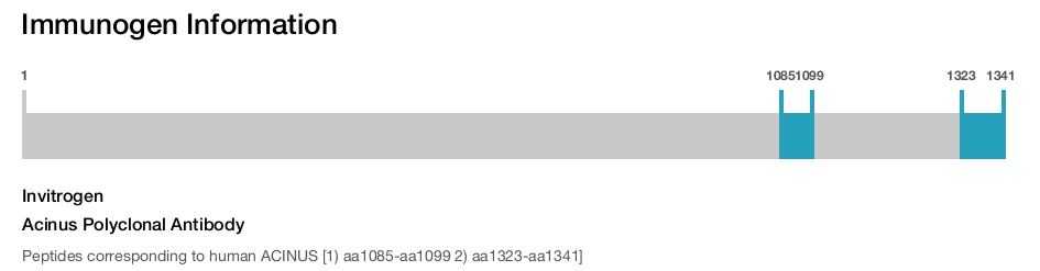 Acinus Polyclonal Antibody