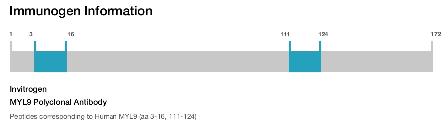 MYL9 Polyclonal Antibody