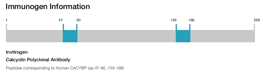 Calcyclin Polyclonal Antibody