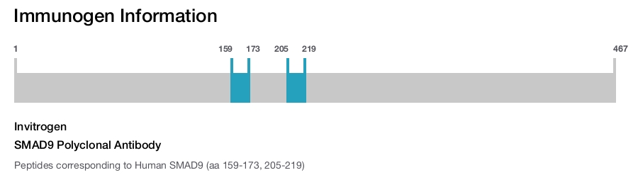 SMAD9 Polyclonal Antibody