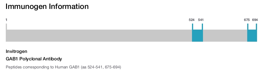 GAB1 Polyclonal Antibody