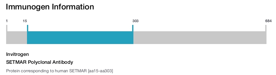 SETMAR Polyclonal Antibody