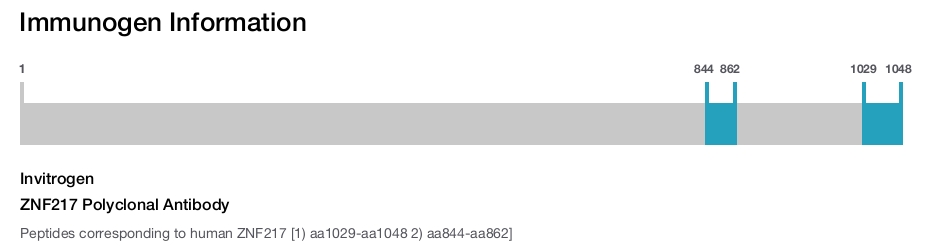 ZNF217 Polyclonal Antibody