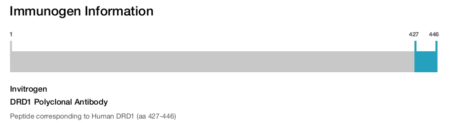 DRD1 Polyclonal Antibody