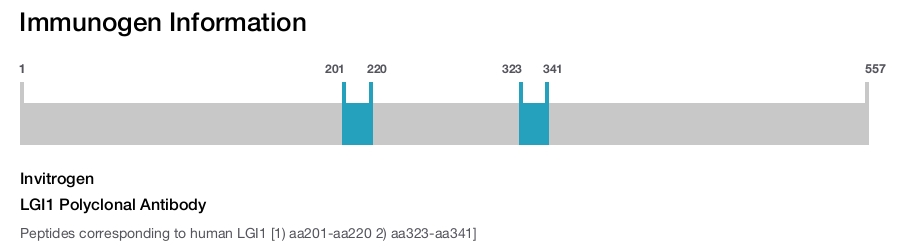 LGI1 Polyclonal Antibody