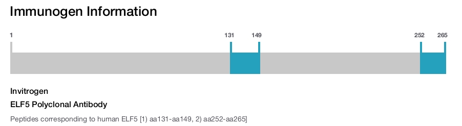 ELF5 Polyclonal Antibody
