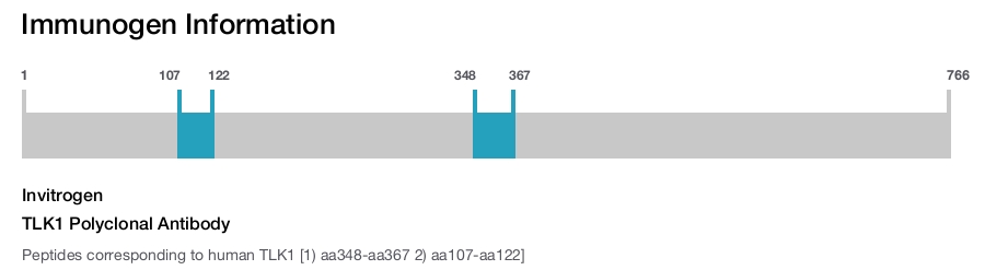 TLK1 Polyclonal Antibody