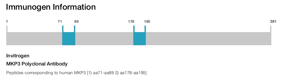 MKP3 Polyclonal Antibody