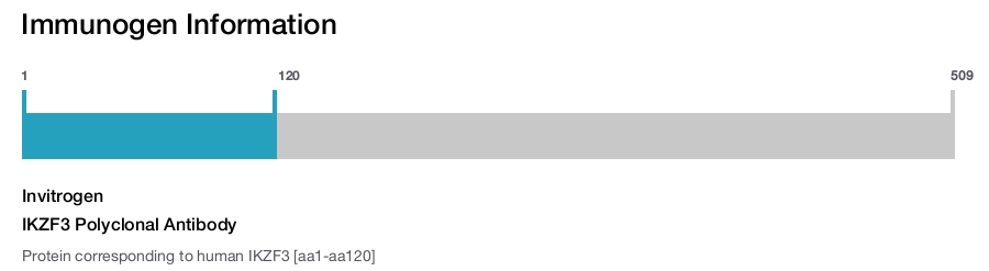 IKZF3 Polyclonal Antibody