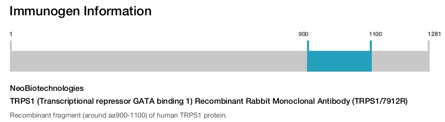 TRPS1 (Transcriptional repressor GATA binding 1) Recombinant Rabbit Monoclonal Antibody (TRPS1/7912R)