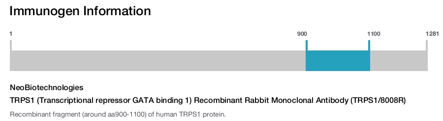 TRPS1 (Transcriptional repressor GATA binding 1) Recombinant Rabbit Monoclonal Antibody (TRPS1/8008R)