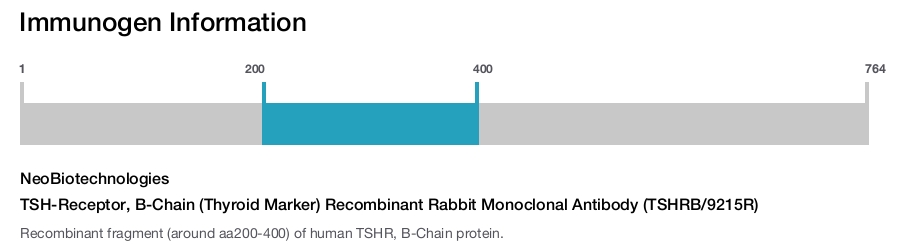 TSH-Receptor, B-Chain (Thyroid Marker) Recombinant Rabbit Monoclonal Antibody (TSHRB/9215R)