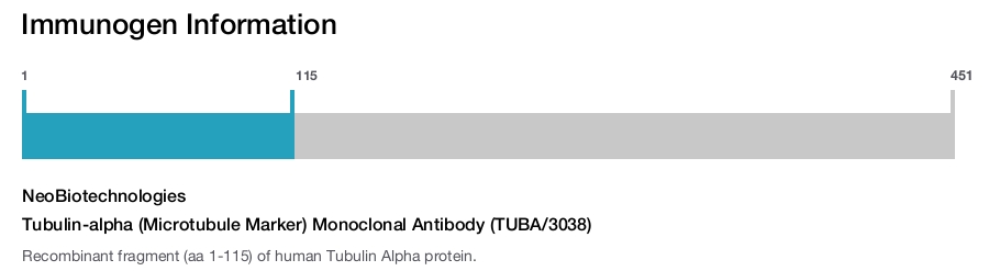 Tubulin-alpha (Microtubule Marker) Monoclonal Antibody (TUBA/3038)