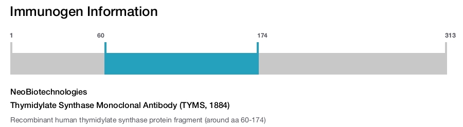 Thymidylate Synthase Monoclonal Antibody (TYMS, 1884)