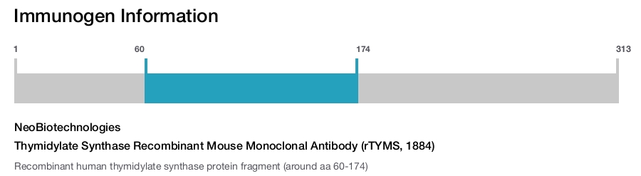 Thymidylate Synthase Recombinant Mouse Monoclonal Antibody (rTYMS, 1884)