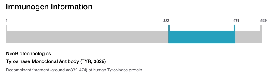 Tyrosinase Monoclonal Antibody (TYR, 3829)