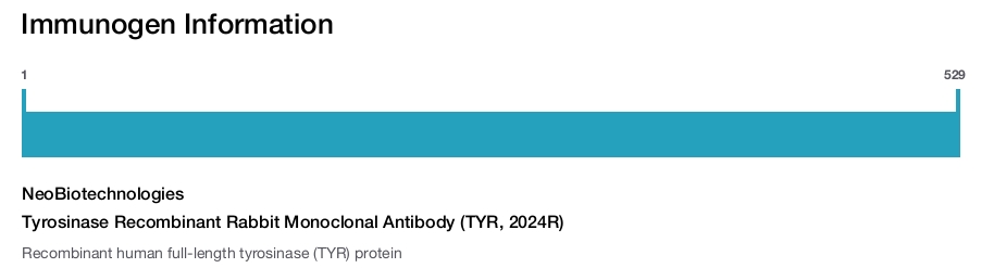 Tyrosinase Recombinant Rabbit Monoclonal Antibody (TYR, 2024R)