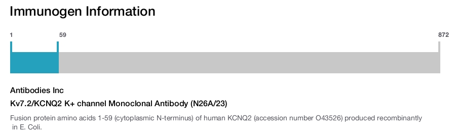 Kv7.2/KCNQ2 K+ channel Monoclonal Antibody (N26A/23)