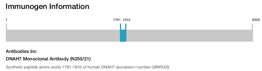 DNAH7 Monoclonal Antibody (N250/21)