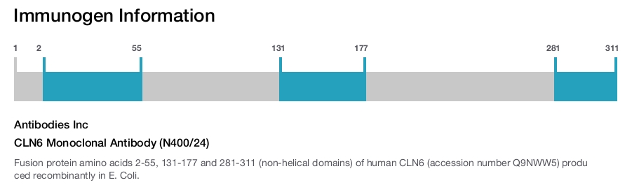 CLN6 Monoclonal Antibody (N400/24)